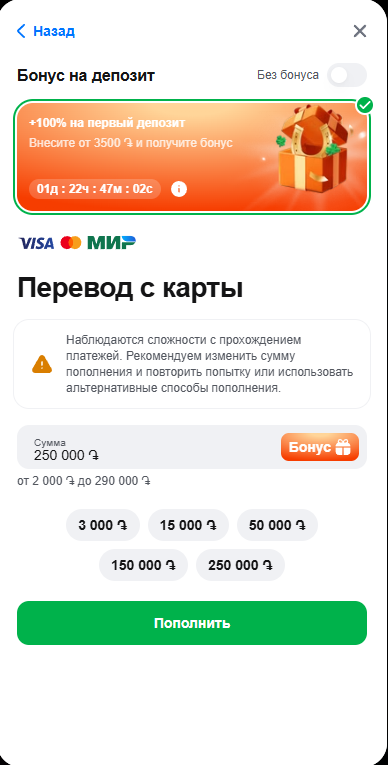 Գումարի մուտքագրման դաշտի սկրինշոտ
